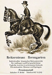 Laubi Hugo - Reitzentrum Bremgarten