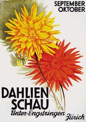Baumberger Otto - Dahlien Schau