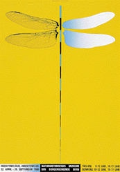 Kuhn Claude - Insektenflügel - Insektenflug