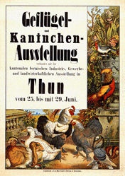 Anonym - Geflügel- und Kaninchen-Ausstellung Thun