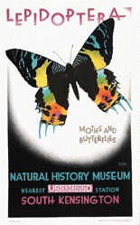 Cooper Austin - Natural History Museum