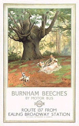 Pegram Fred - Burnham Beeches