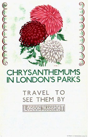 Willoughby Althea - Chrysanthemums