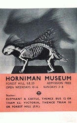 Anonym - Horniman Museum