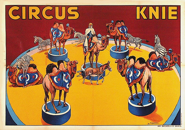 Magne A. - Circus Knie