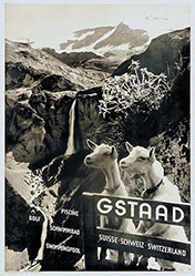 Naegeli Jacques (Photo) - Gstaad