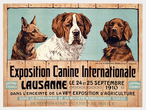 Anonym - Exposition Canine